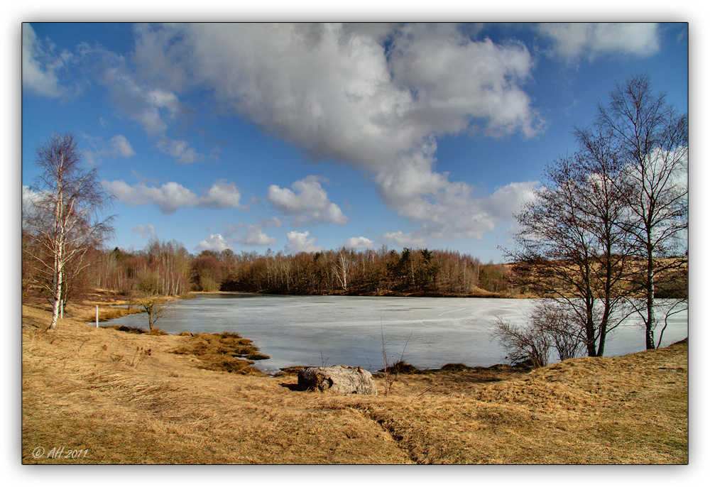 Syrauer Heide am 06. März 2011 - 3