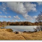 Syrauer Heide am 06. März 2011 - 3