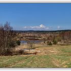 Syrauer Heide am 27.03.2011