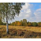 Syrauer Heide im Herbst - 3