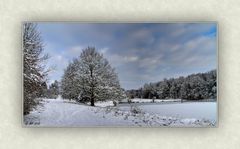 Syrauer Heide - Winterimpression 1