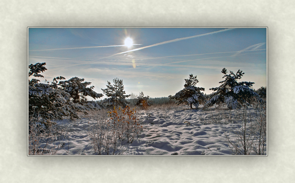 Syrauer Heide - Winterimpression 2