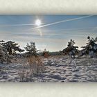 Syrauer Heide - Winterimpression 2