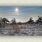 Syrauer Heide - Winterimpression 2