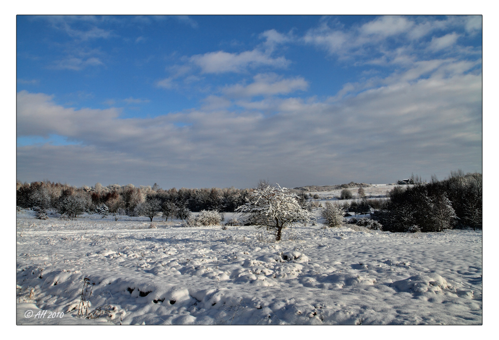 Syrauer Heide - Winterimpression 3