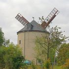 Syrauer Windmühle