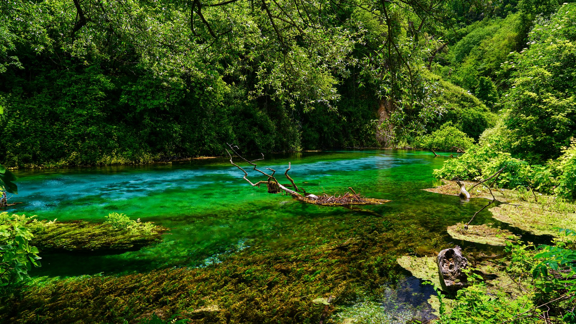 Syri i Kaltër, Albanien