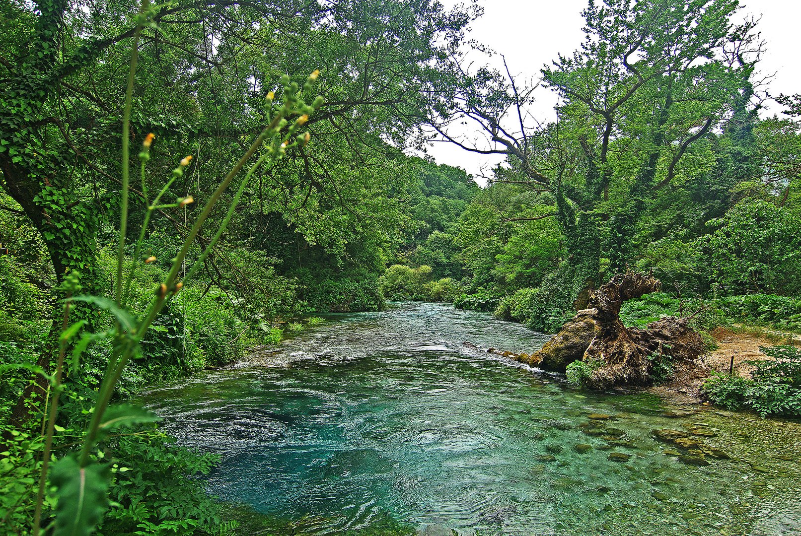 Syri i Kaltër (dt. Blaues Auge)_III
