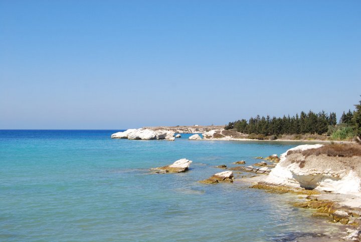 syria lattakia