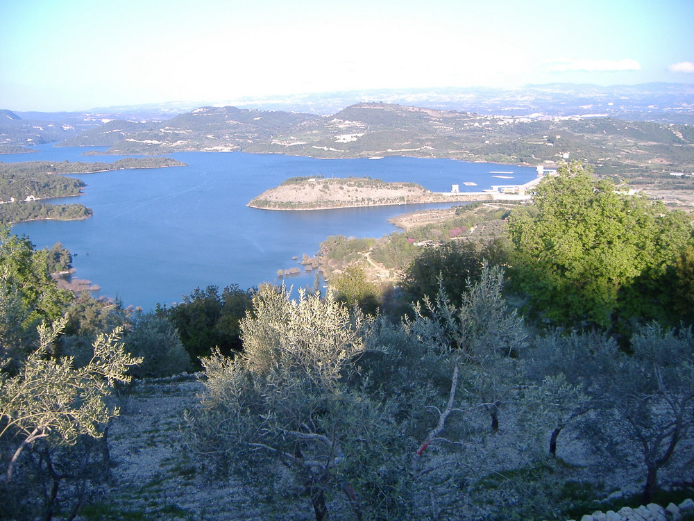 Syria Lattakia Quesmen