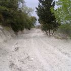 Syrian countryside , in lattakia