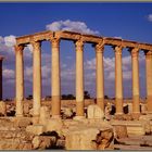 Syrien - Palmyra - Reste eines römischen Tempels