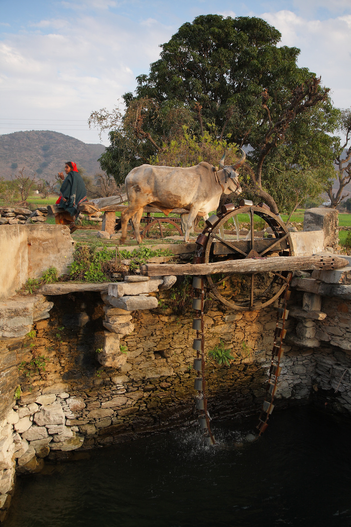 Système d'irrigation, sur la route de Kumbhalgarh, Rajasthan