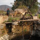 Système d'irrigation, sur la route de Kumbhalgarh, Rajasthan