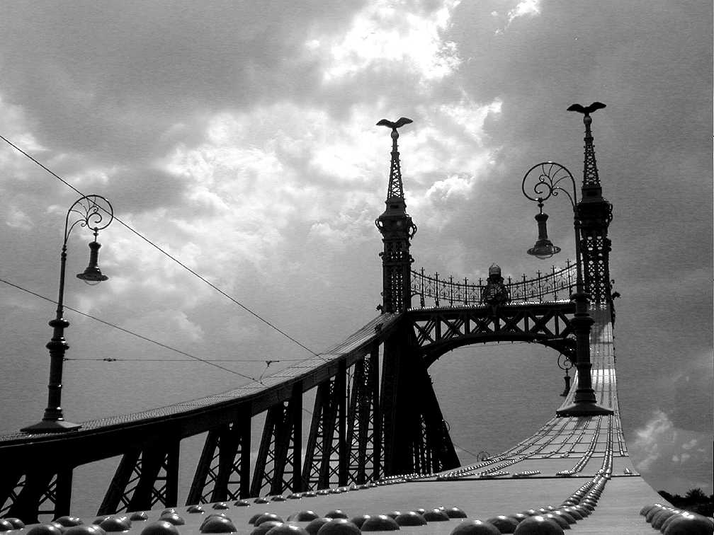 Szabadság hid - die Freiheitsbrücke über die Donau