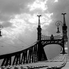 Szabadság hid - die Freiheitsbrücke über die Donau