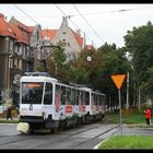 Szczecin : 205