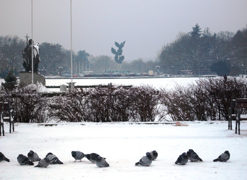 Szczecin in winter