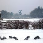 Szczecin in winter