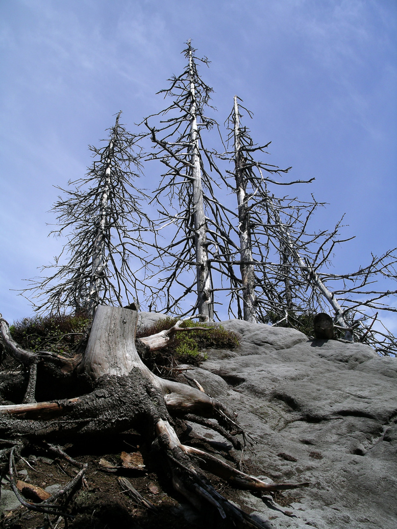 Szczeliniec Wielki, Alt Gebirge in Polen - mai. 2004