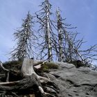 Szczeliniec Wielki, Alt Gebirge in Polen - mai. 2004