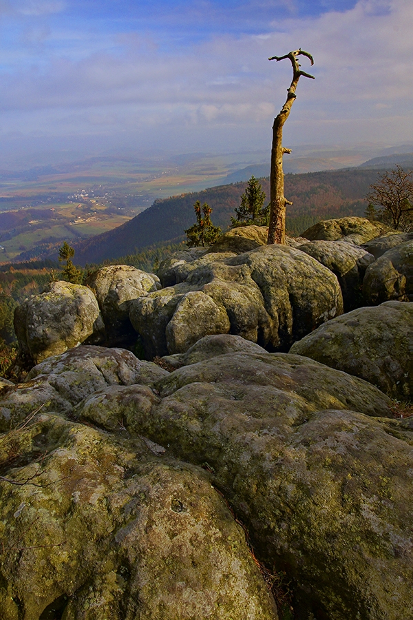 Szczeliniec Wielki [Grosse Heuscheuer]