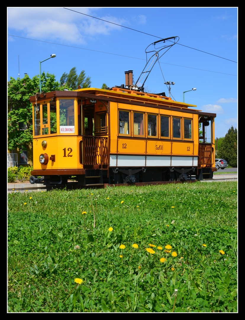 Szeged – Straßenbahn -3