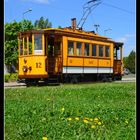 Szeged – Straßenbahn -3