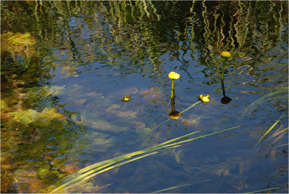 Szene am Bach