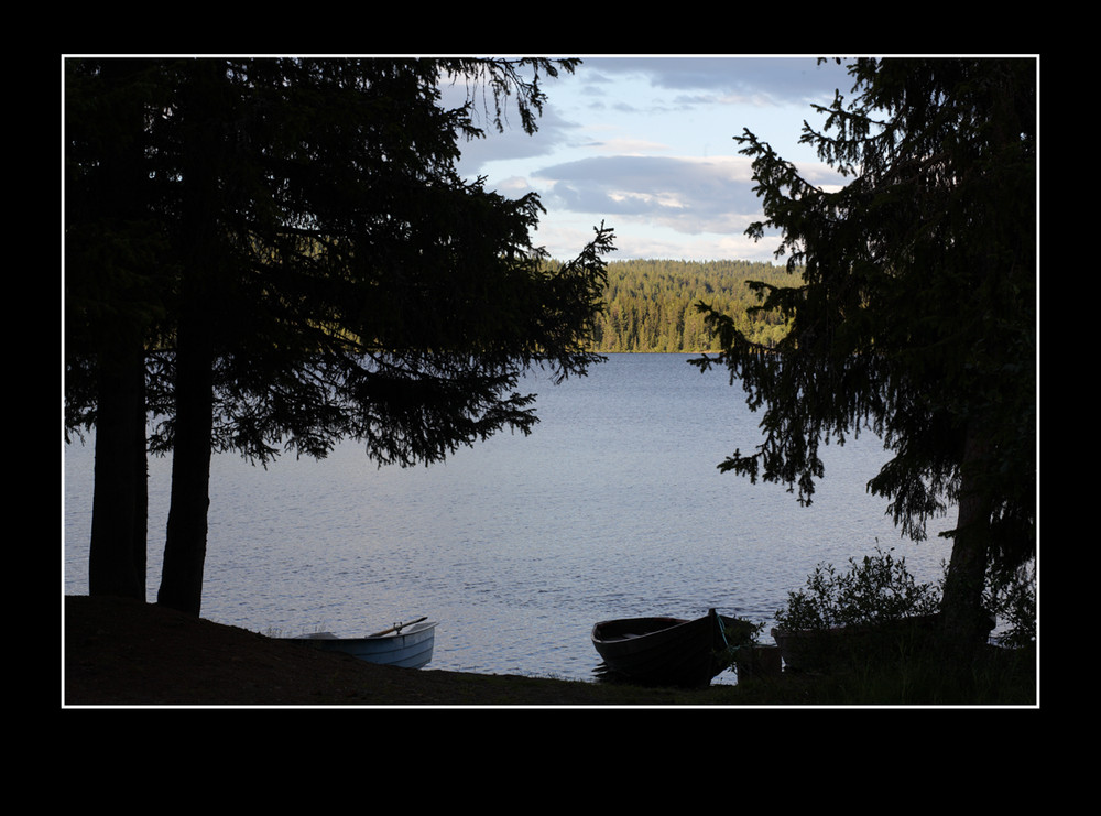 Szene am See