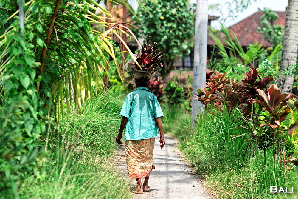 Szene auf Bali