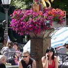 Szene auf dem Alten Markt in Hachenburg