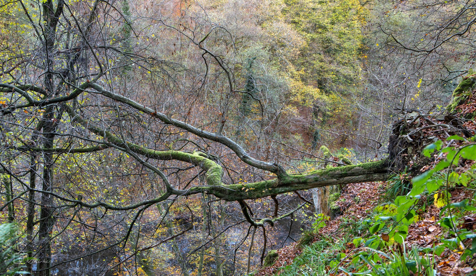 Szene bei Müngsten 3