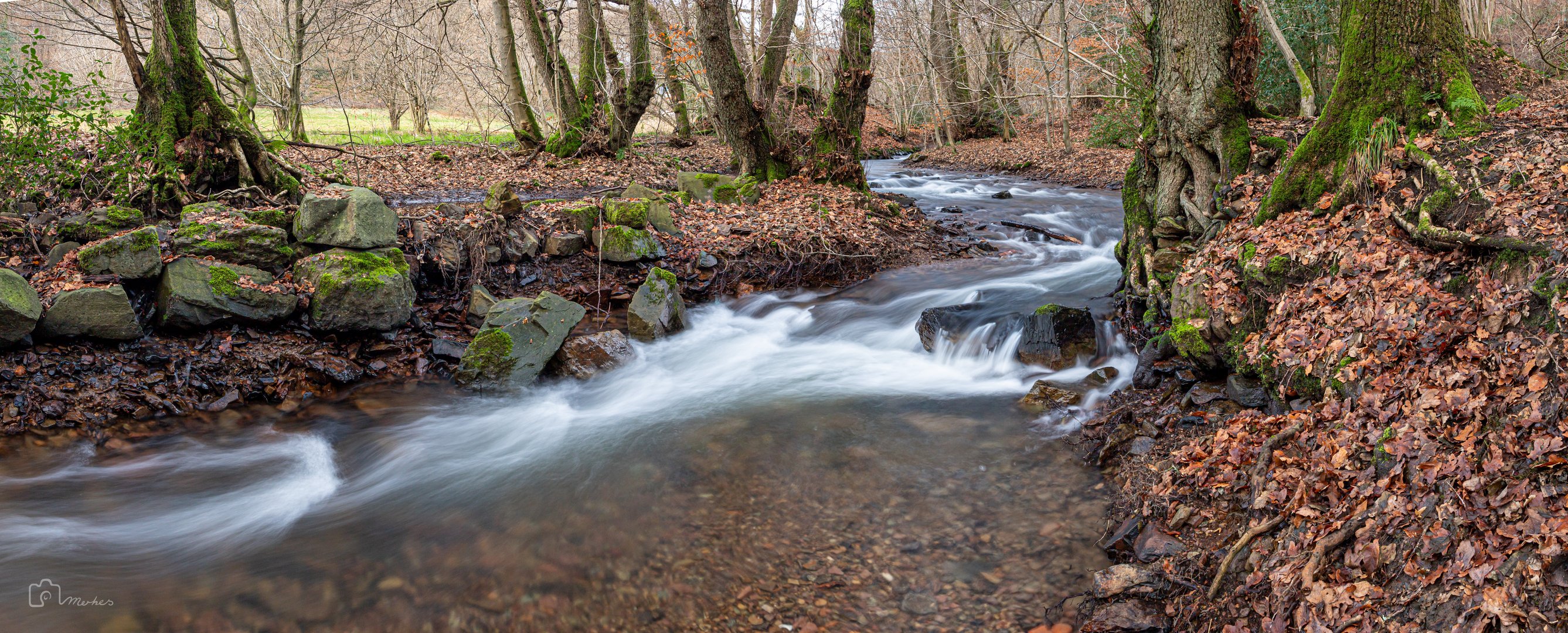 Szene im Gelpetal