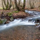 Szene im Gelpetal