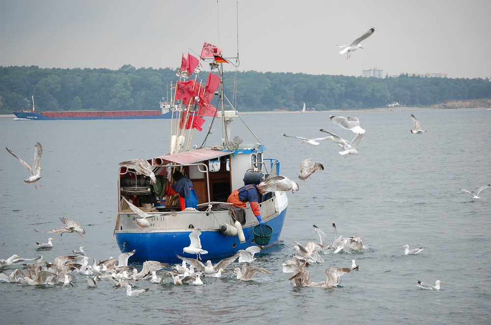 ~ Szene im Hafen ~ (Original)