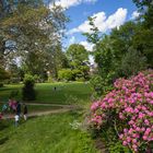 Szene im Schlosspark Bad Homburg