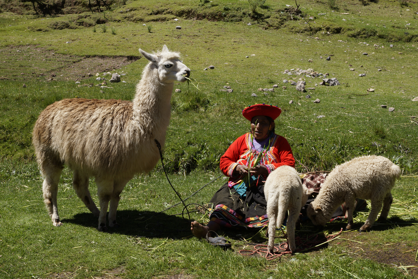Szene in den peruaanischen Anden, Nähe Cuszco