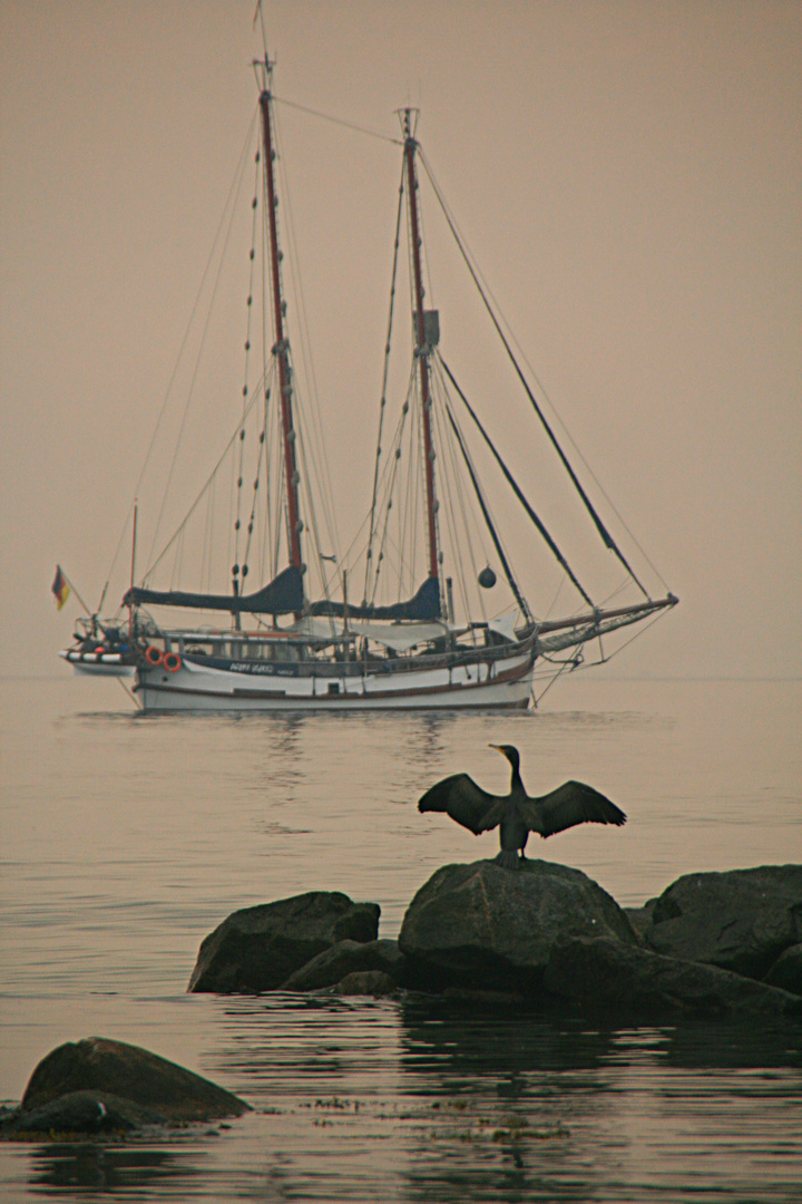 Szene vor Schilksee (Kiel)