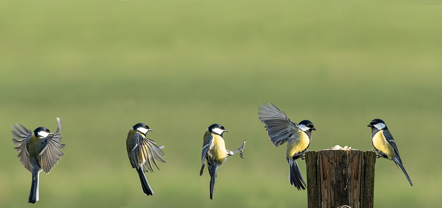 Szenen des Anflugs...