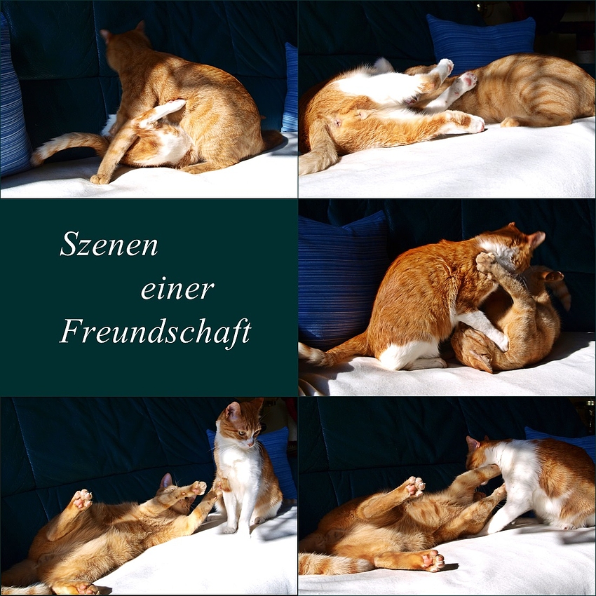 Szenen einer Freundschaft 2