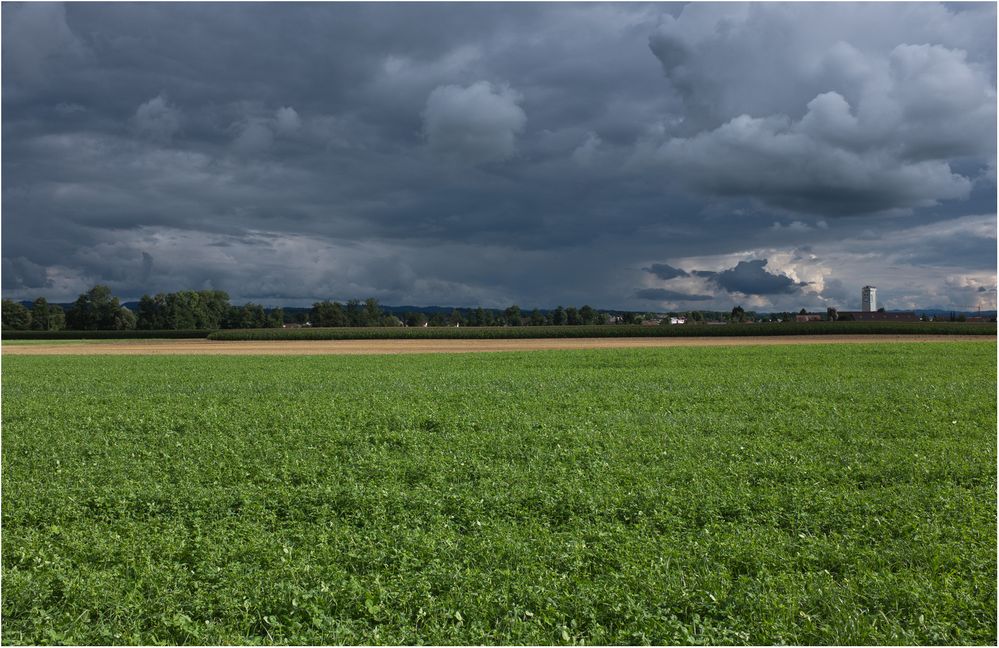 Szenerie eines Sommers