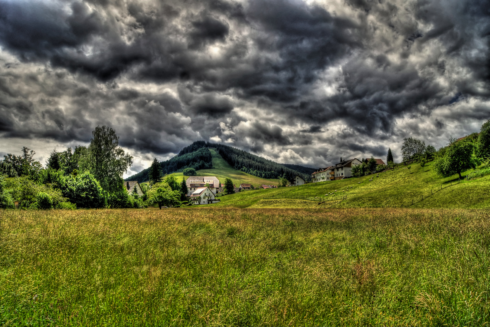 Szenerie im Schwarzwald