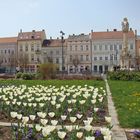 Szombathely (Ungarn) in Frühjahr
