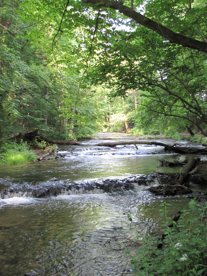 Szumy, Polen