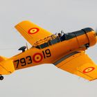 T-6 de la FIO (Fundación Infante de Orleans)