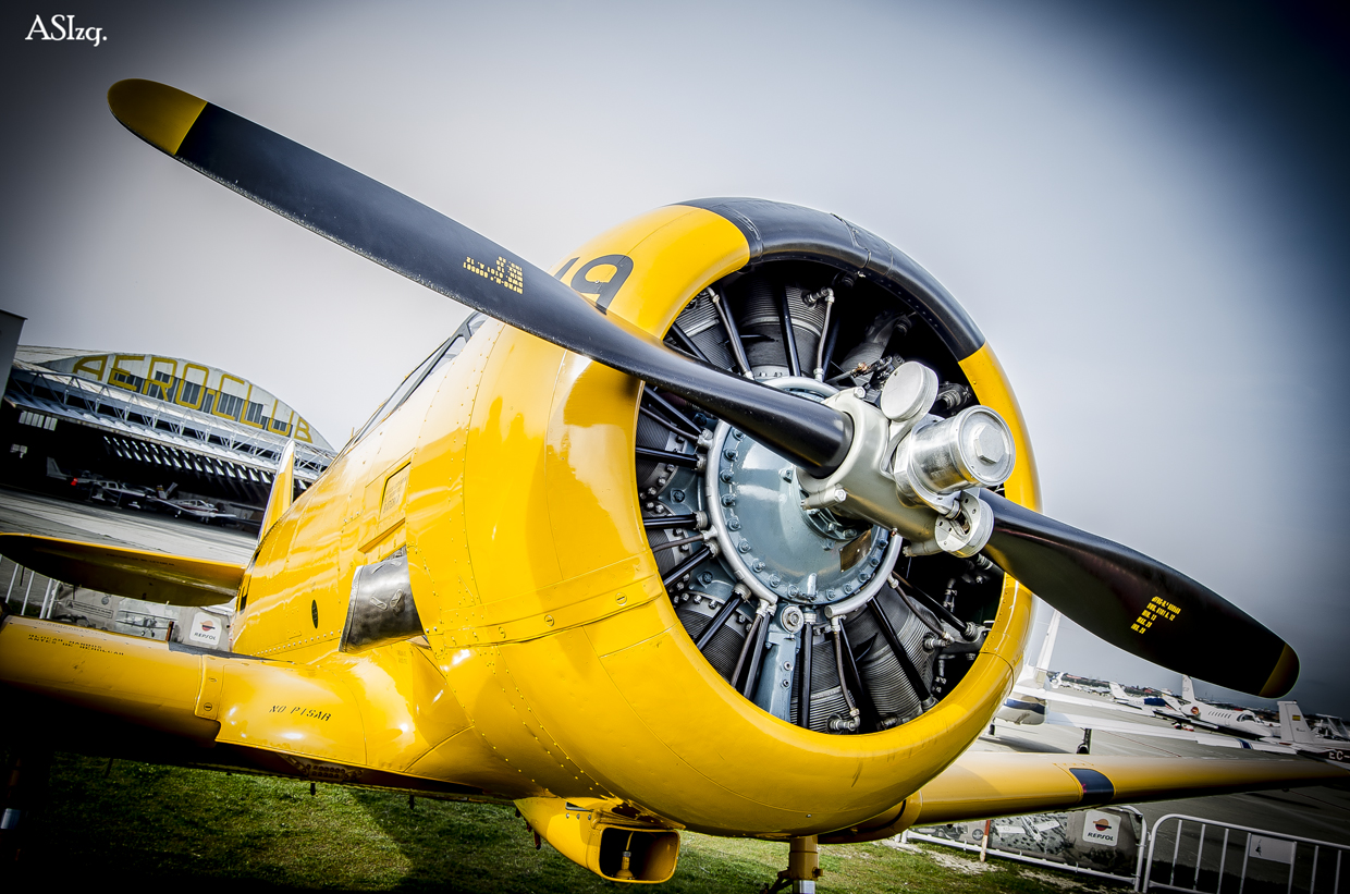 T-6 Texan DUN