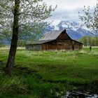 T. A. Moulton Barn