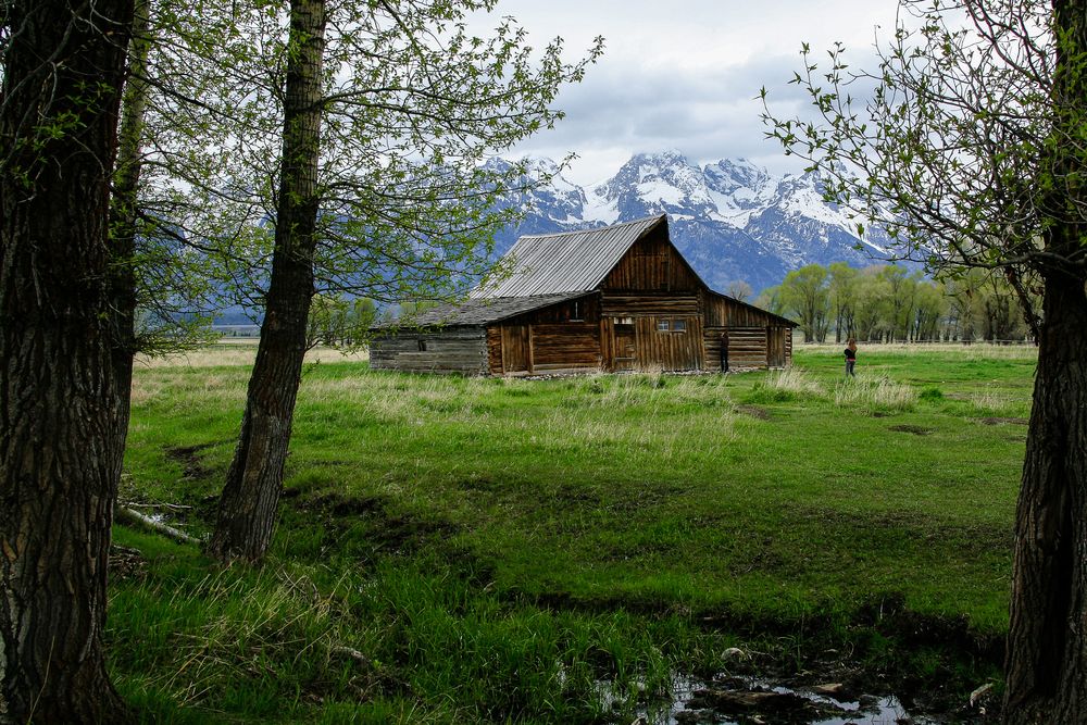 T. A. Moulton Barn