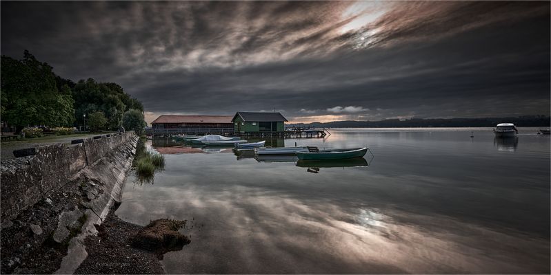 T H E ~ E A R L Y ~ B I R D